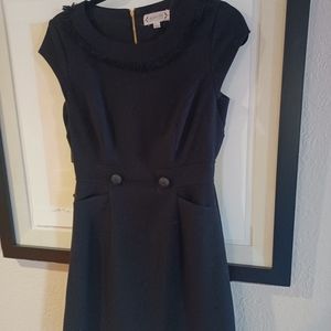 Nannette Lepore Classic Day to Evening Dress Size 2